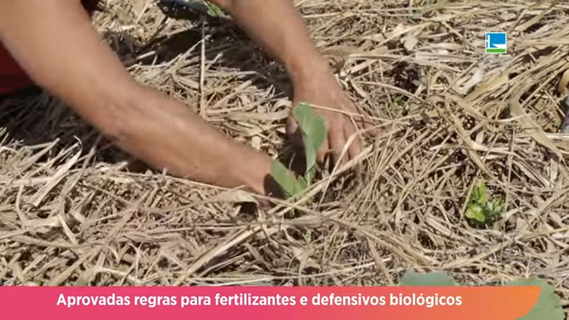 Aprovadas regras para fertilizantes e defensivos biológicos