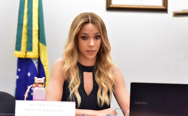Deputada Erica Hilton em reunião de comissão
