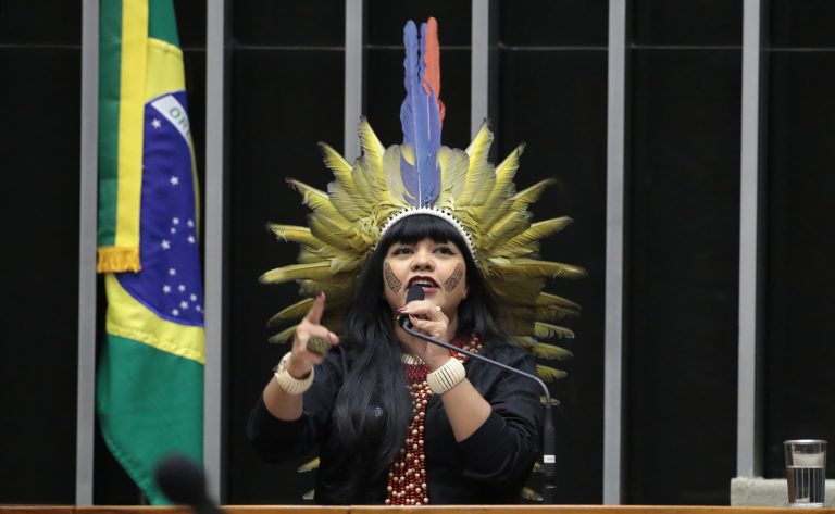 Discussão e votação de propostas legislativas. Dep. Célia Xakriabá (PSOL - MG)