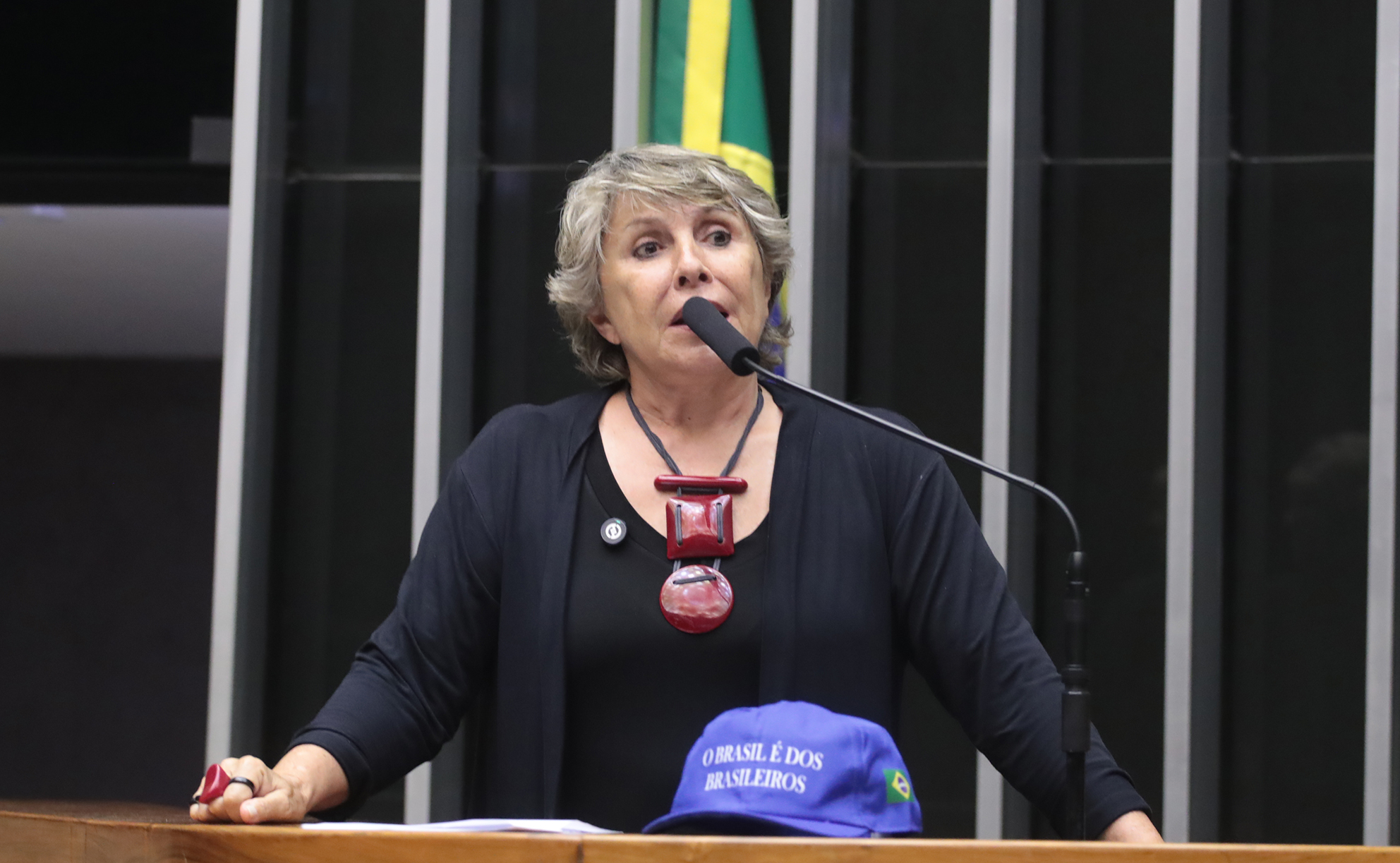 Erika Kokay (PT/DF) - Projeto obriga uso de câmeras corporais por policiais