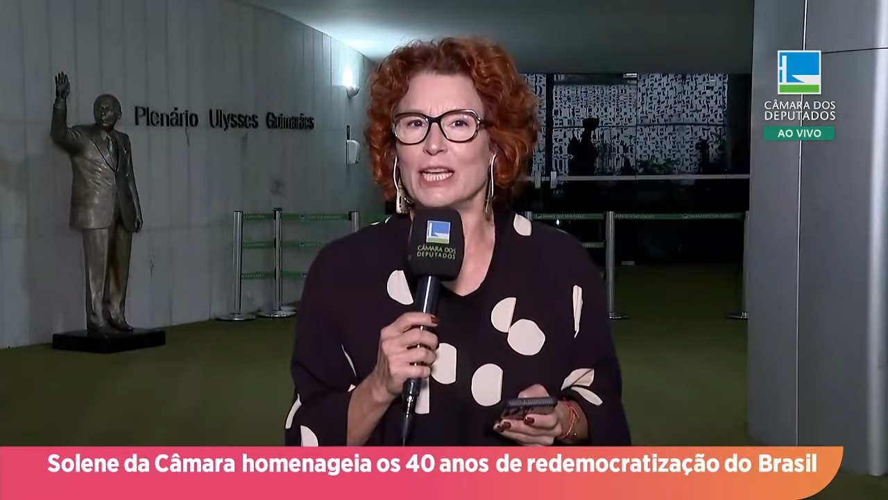 Direto da Câmara - Começa a instalação das comissões permanentes da Câmara