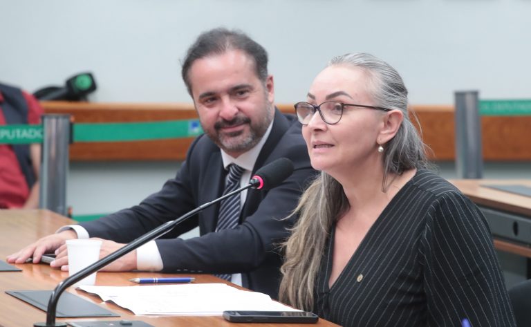 Audiência Pública - Principais entraves na transferência de recursos nas situações de emergência e calamidade. Dep. Daniela Reinehr (PL -SC)