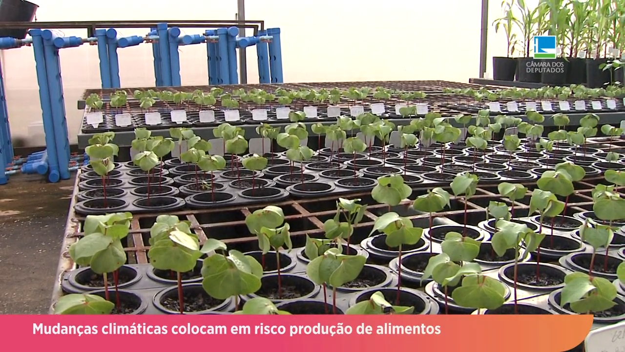 Mudanças climáticas colocam em risco a produção de alimentos