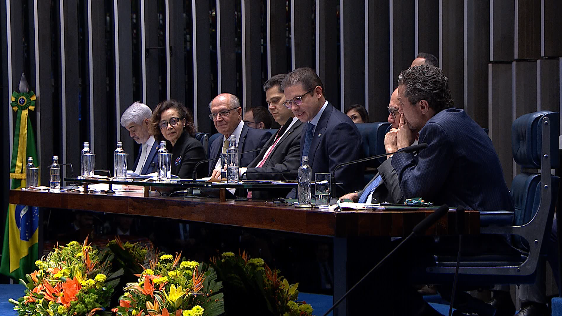 1º Sessão plenária de trabalho do BRICS : Aliança Interparlamentar do BRICS pela Saúde Global