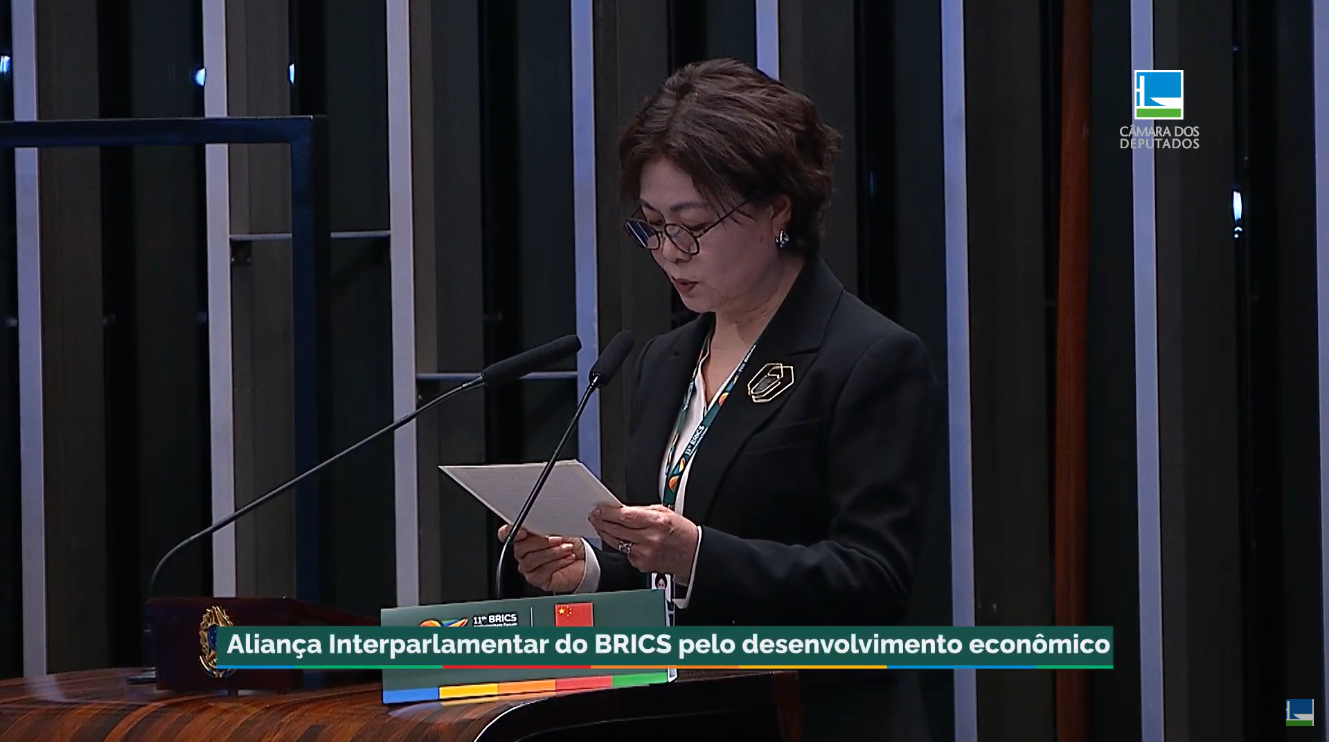 BRICS: Tie Ning - Aliança interparlamentar pelo desenvolvimento econômico