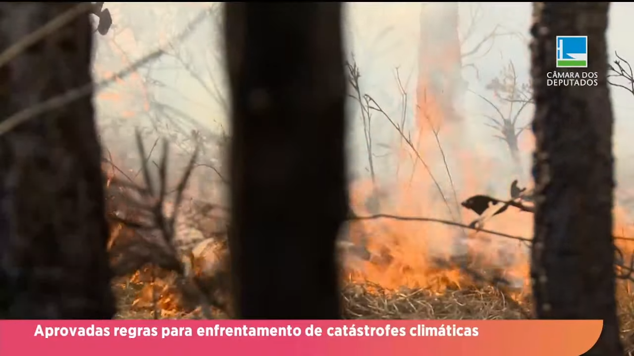 Direto da Câmara - Aprovadas regras para enfrentamento de catástrofes climáticas
