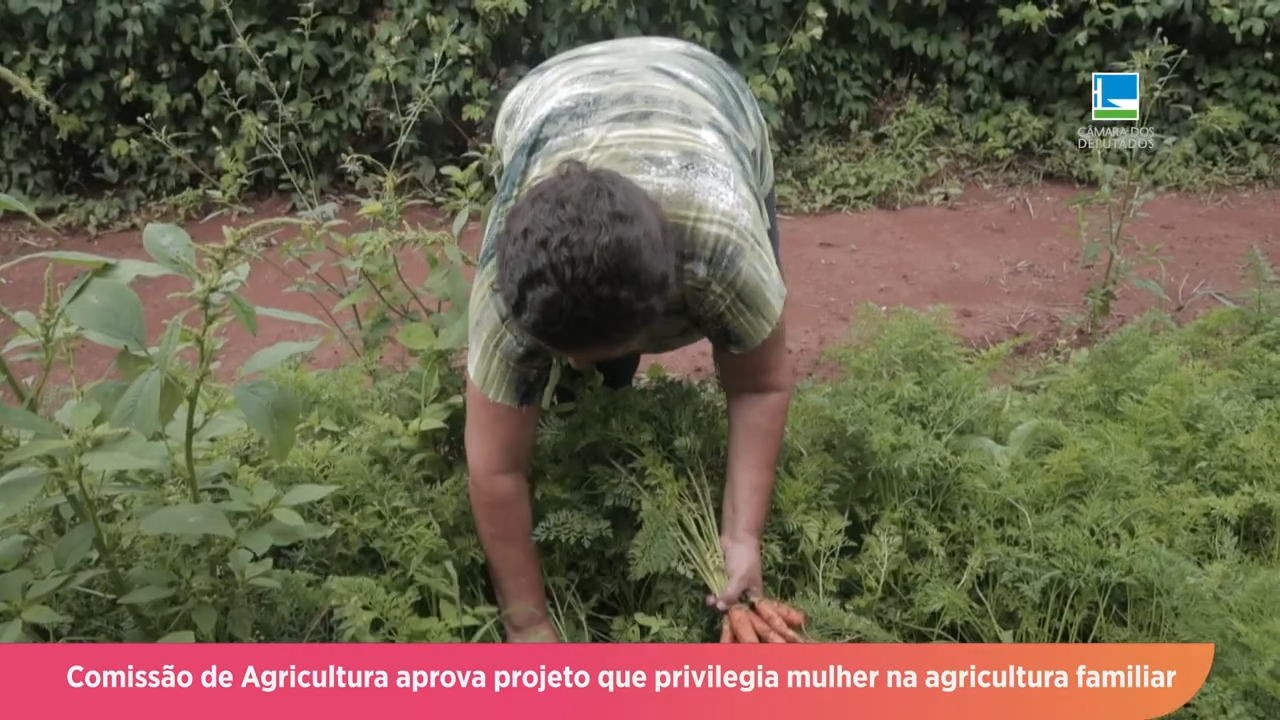 Linhas de crédito: projeto privilegia mulher na agricultura familiar