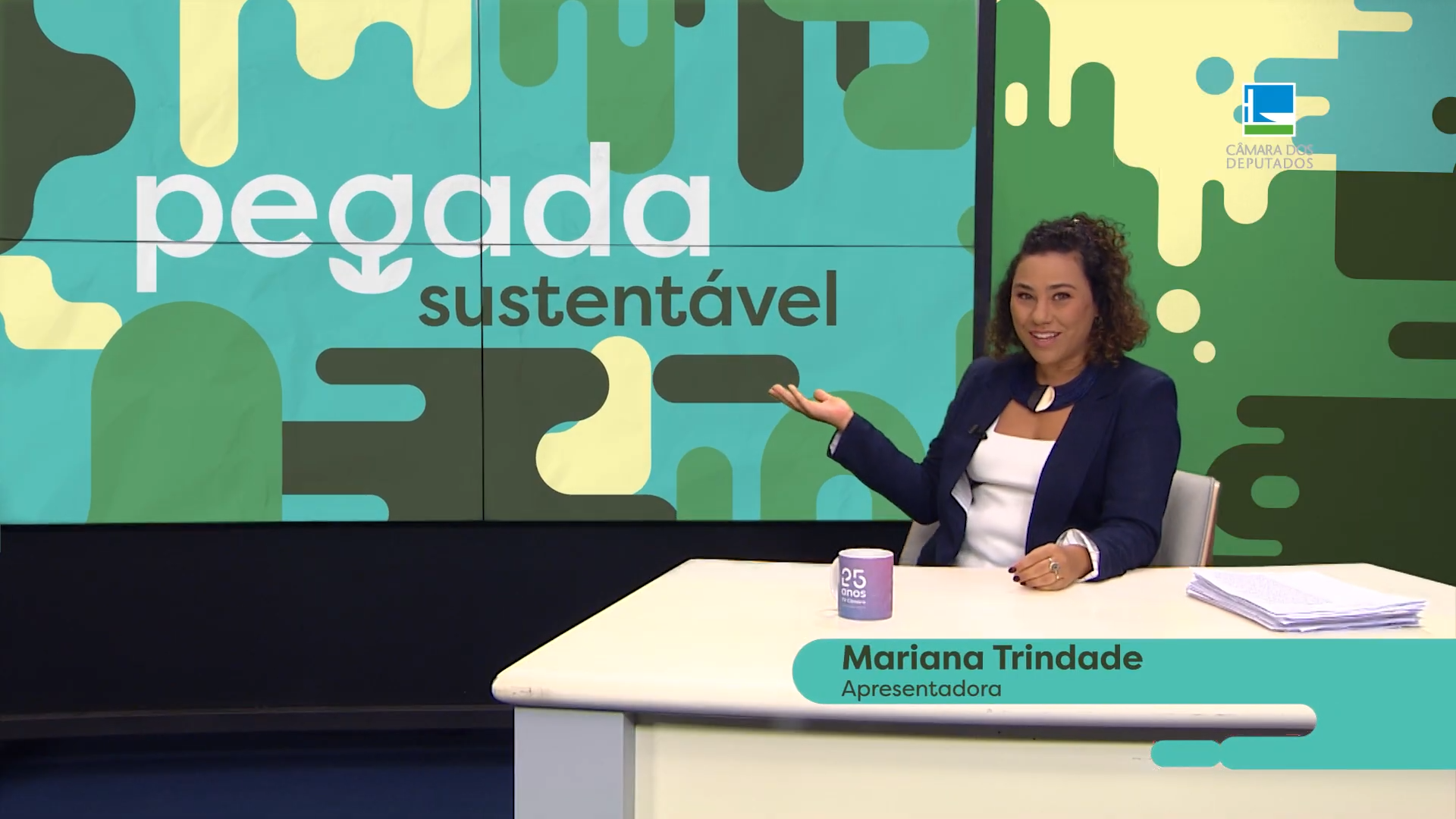 Pegada Sustentável - Mudanças Climáticas