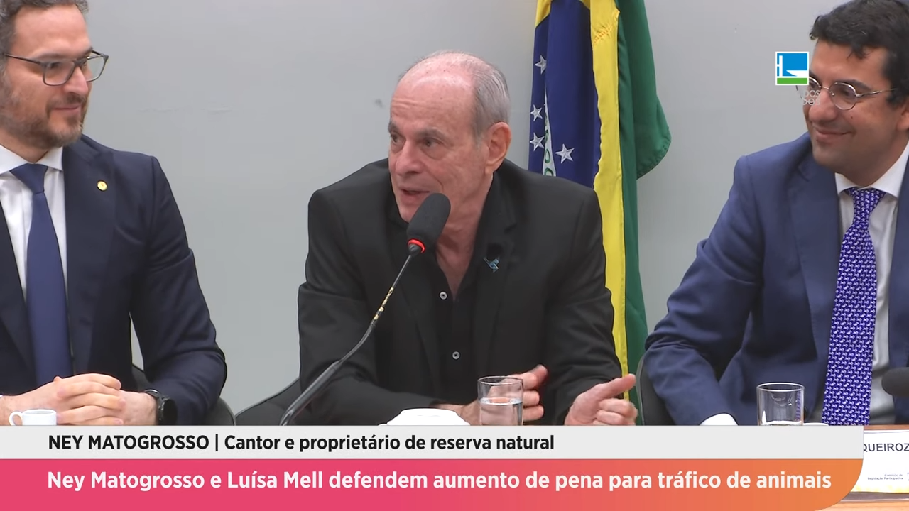 Ney Matogrosso e Luísa Mell defendem aumento de pena para tráfico de animais