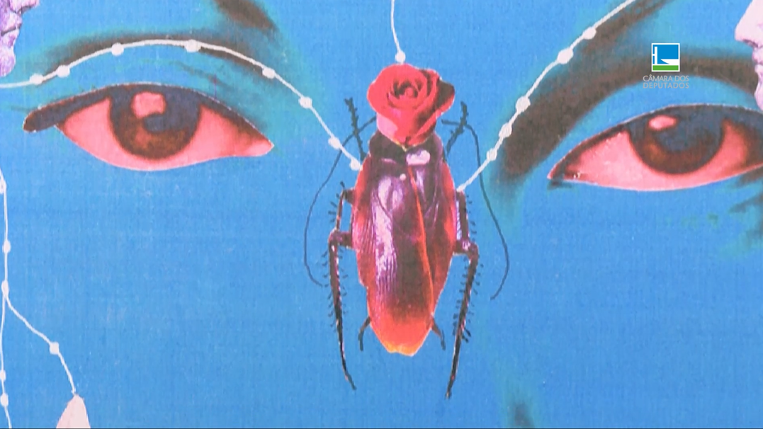 Cultura na Câmara | Exposição "Escritoras brasileiras"