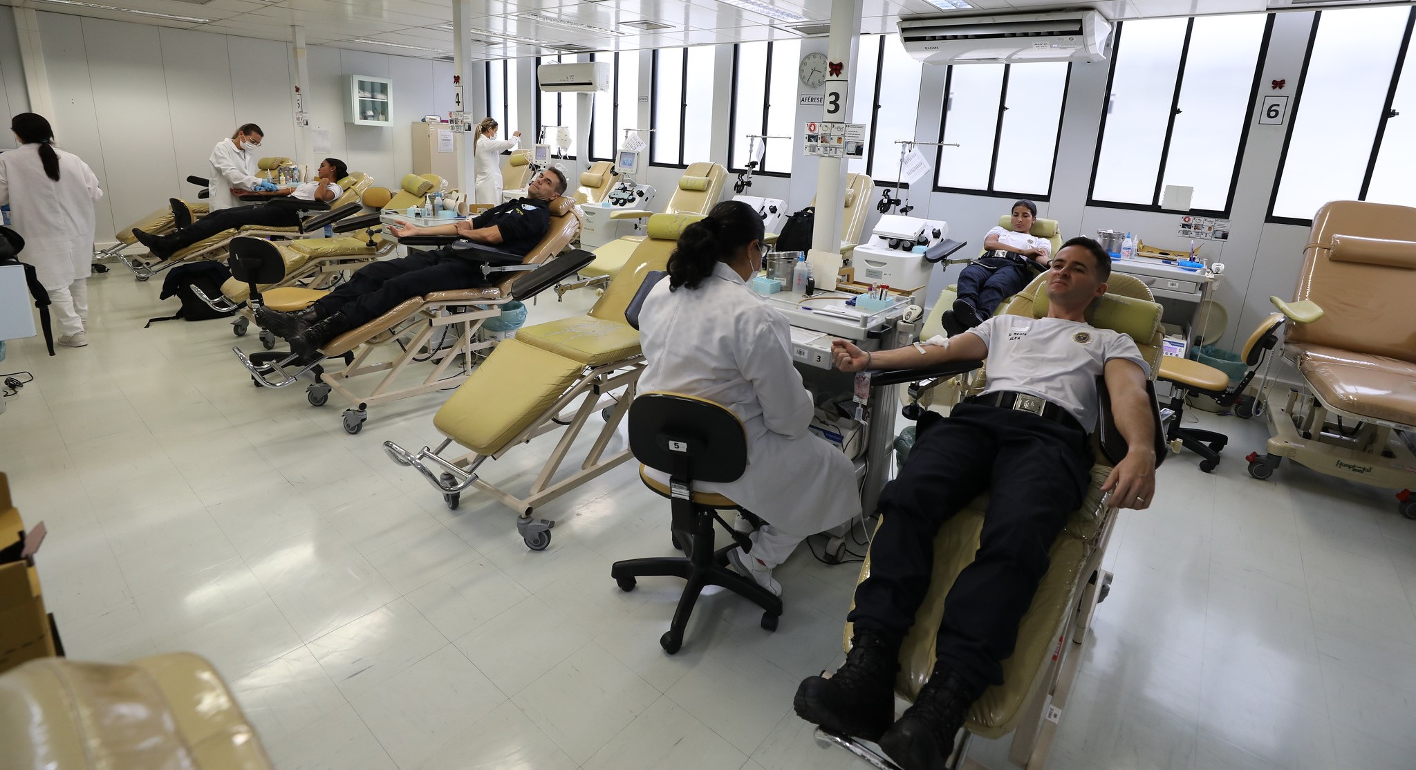 Doação de sangue (parte 2)