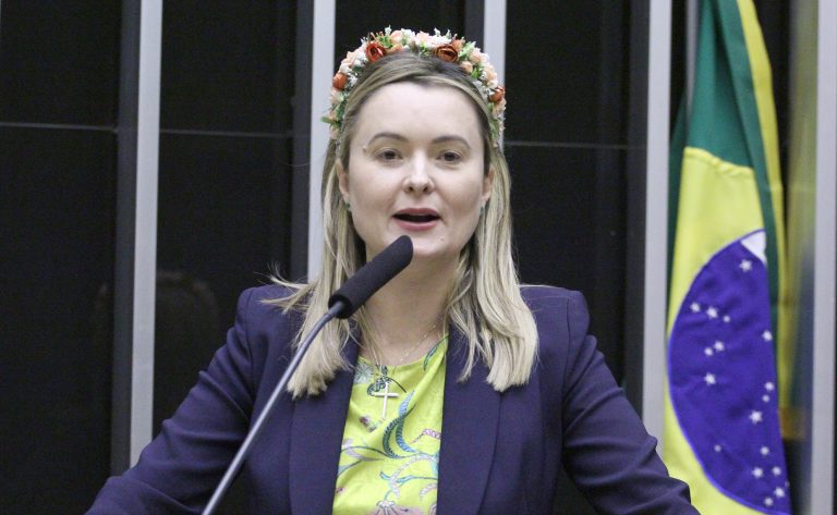 Discussão e votação de propostas legislativas. Dep. Julia Zanatta (PL - SC)