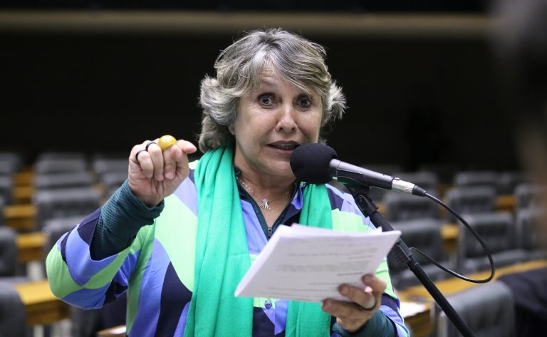 Discussão e Votação de Propostas Legislativas. Dep. Erika Kokay (PT - DF)