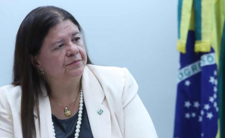 Audiência Pública - Primeiro ano da Lei n° 14.826/2024 e a criação do "Dia da Parentalidade", a ser comemorado em 1º de junho. Dep. Laura Carneiro (PSD - RJ)