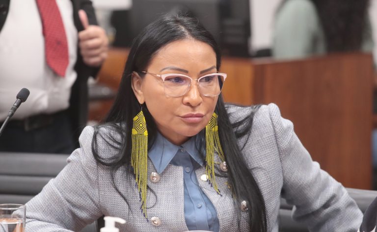 Reunião entre a Bancada Feminina e o novo Ministro da Saúde. Dep. Silvia Waiãpi (PL - AP)