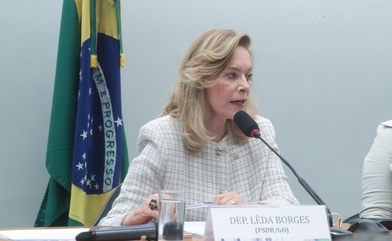 Audiência Pública - Erosão às margens da BR-040 entre Valparaíso de Goiás e Brasília. Dep. Lêda Borges (PSDB - GO)