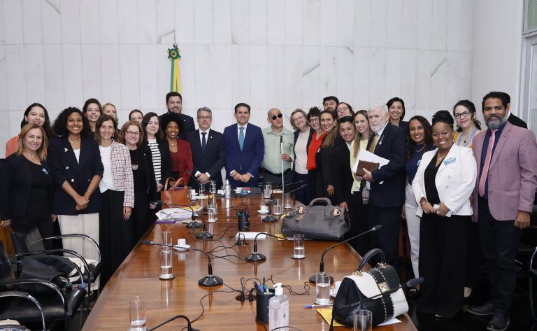 Reunião da Presidência e da Sociedade Civil sobre projeto de proteção às crianças e adolescentes na internet.