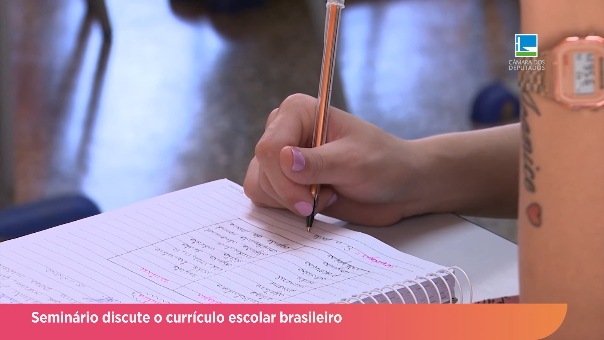 Seminário discute o currículo escolar brasileiro