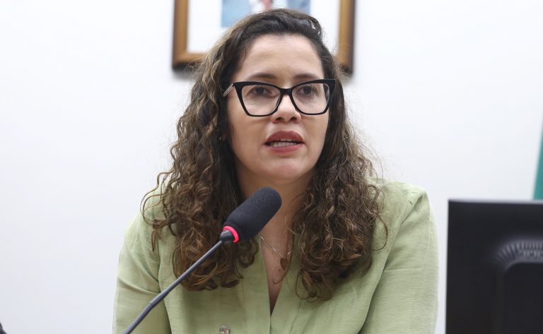 Encontro Audiovisual Brasileiro pela regulação do Streaming. Dep. Denise Pessôa (PT - RS)