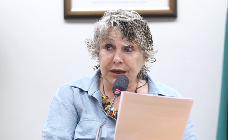 Deputada Erika Kokay (PT-DF) fala em comissão da Câmara dos Deputados