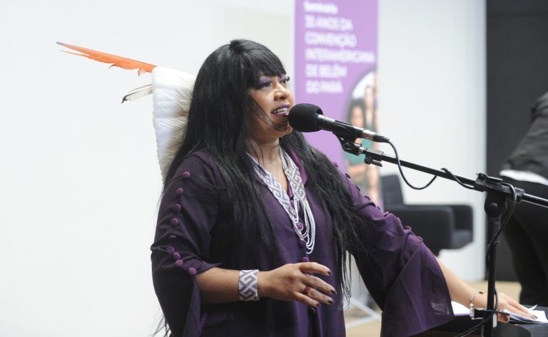 Seminário: Avaliação dos 30 anos da Convenção Interamericana para Prevenir, Punir e Erradicar a Violência contra a Mulher, de Belém do Pará. Dep. Célia Xakriabá (PSOL - MG)