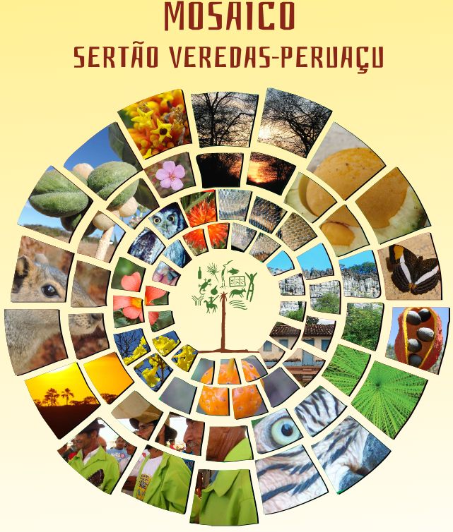 Mosaicos e corredores ecológicos