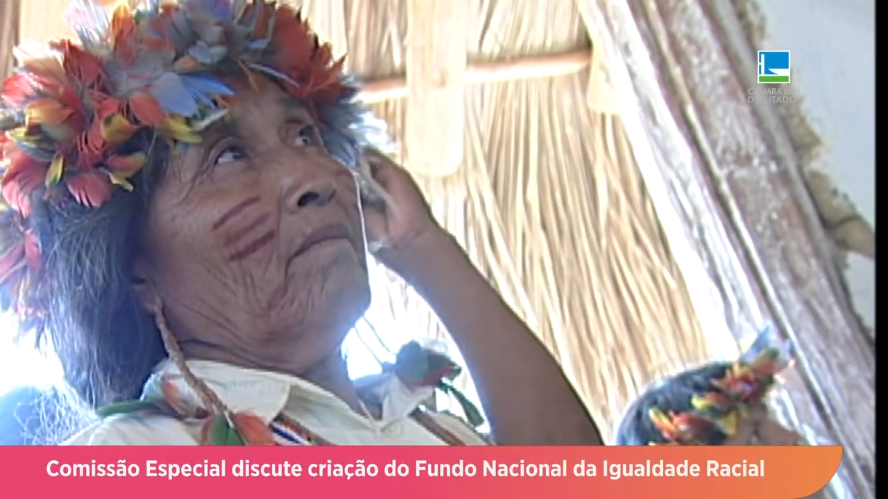 Fundo Nacional da Igualdade Racial é discutido em Comissão Especial