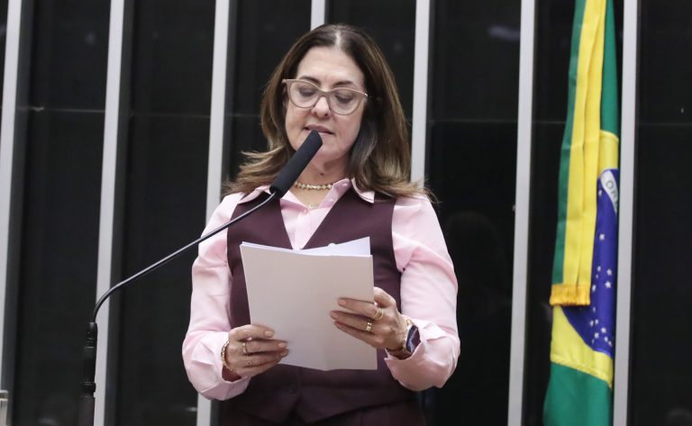 Discussão e votação de propostas legislativas. Dep. Rogéria Santos (REPUBLICANOS-BA)