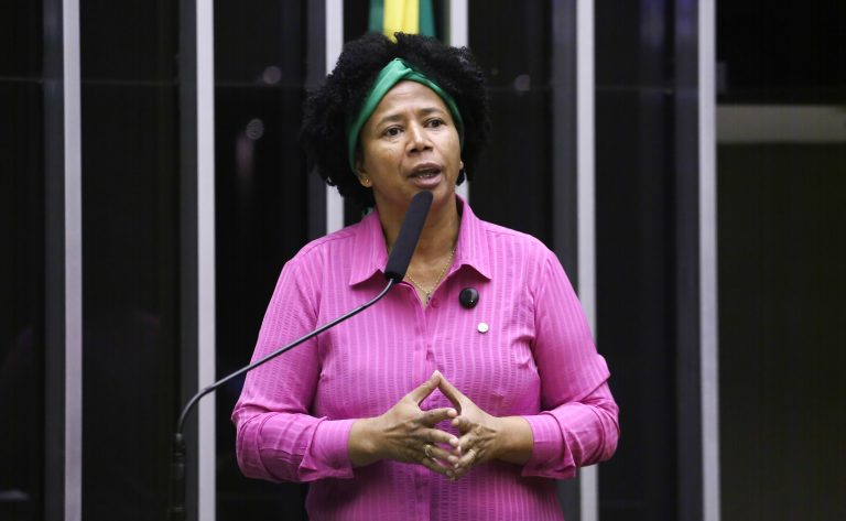 Discussão e votação de propostas legislativas. Dep. Silvia Cristina (PP - RO)