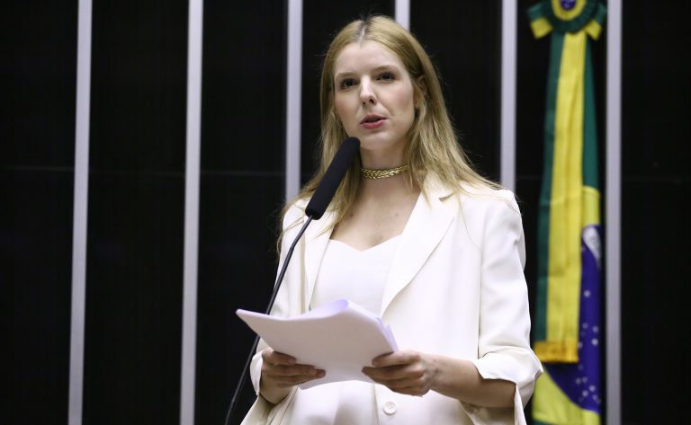 Discussão e votação de propostas legislativas. Dep. Luísa Canziani (PSD - PR)