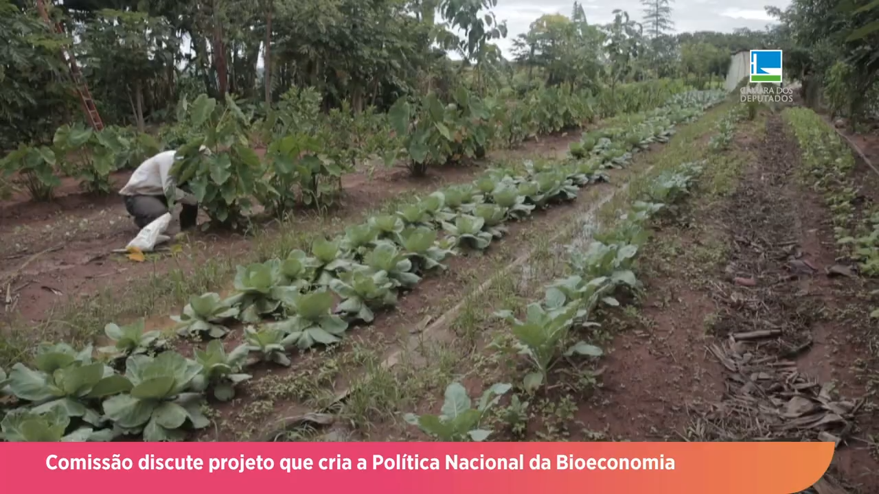 Comissão discute projeto que cria a Política Nacional da Bioeconomia