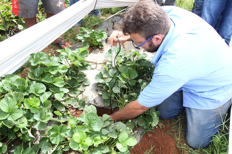 Descrição da imagem da notícia