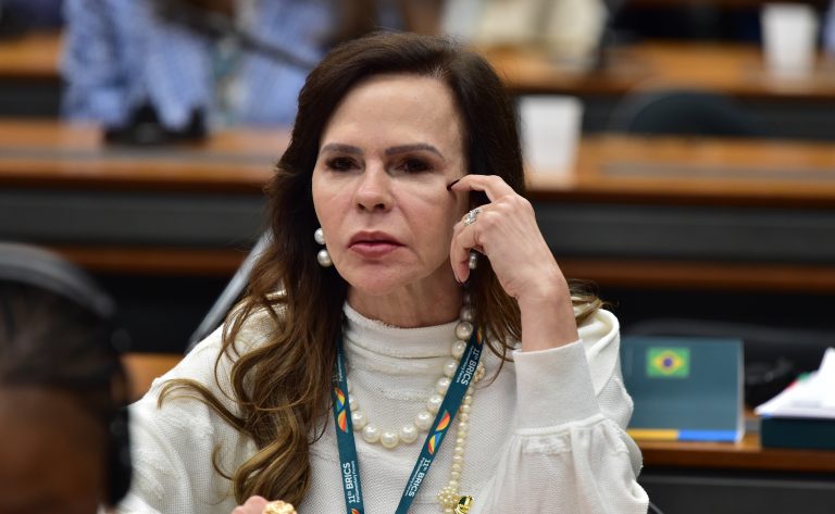 3ª Sessão de trabalho das Mulheres Parlamentares do BRICS. Senadora, Professora Dorinha Seabra (UNIÃO - TO)