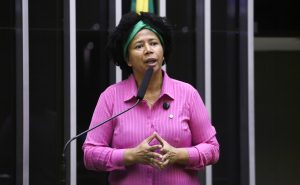 Hercílio Coelho Diniz