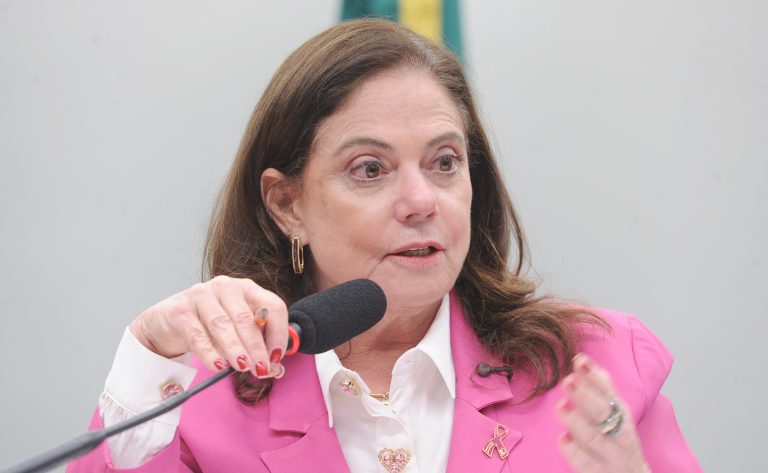 Audiência Pública - Tecnologia de IA na educação básica brasileira. Dep. Soraya Santos (PL - RJ)