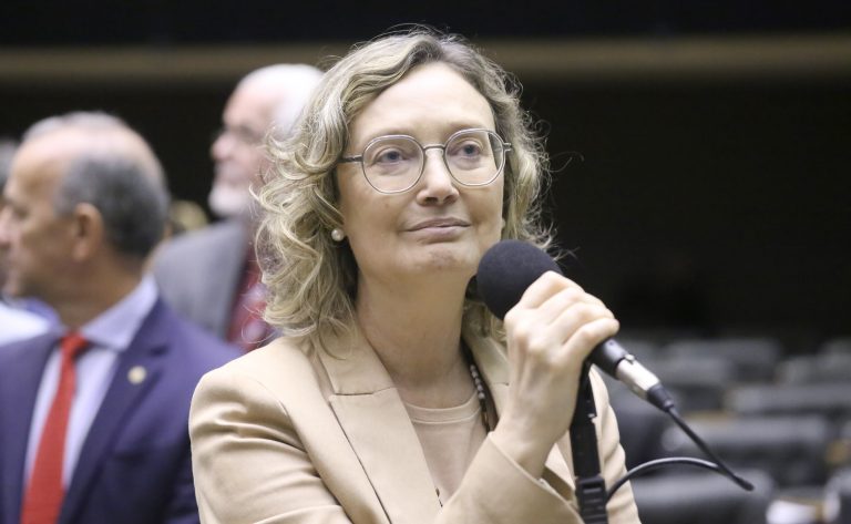 Discussão e votação de propostas legislativas. Dep. Maria do Rosário (PT - RS)