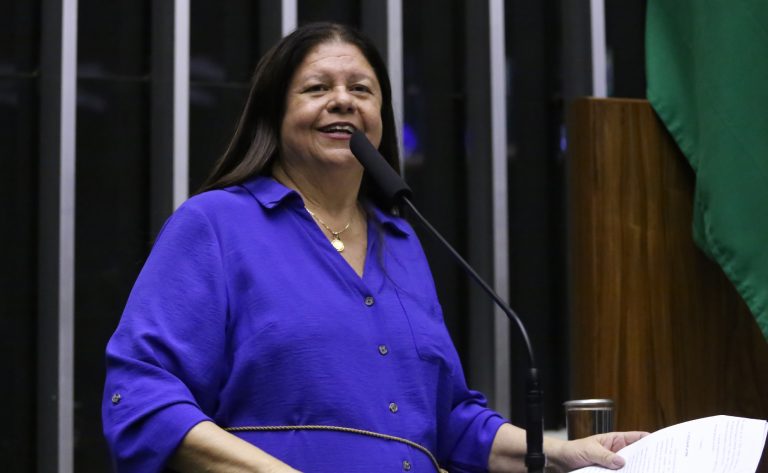 Discussão e votação de propostas legislativas. Dep. Laura Carneiro (PSD - RJ)