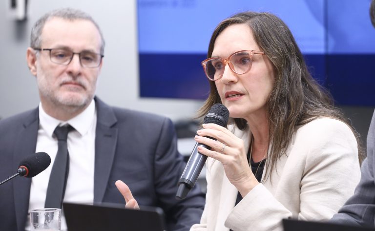 Audiência Pública - Dados e políticas de segurança pública. Diretora-Executiva do Instituto Sou da Paz - Instituto Sou da Paz, Carolina Ricardo.