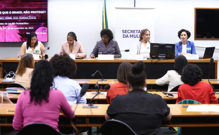 Seminário: Lançamento da pesquisa "Quem são as mulheres que o Brasil não protege? Uma análise interseccional dos feminicídios”.