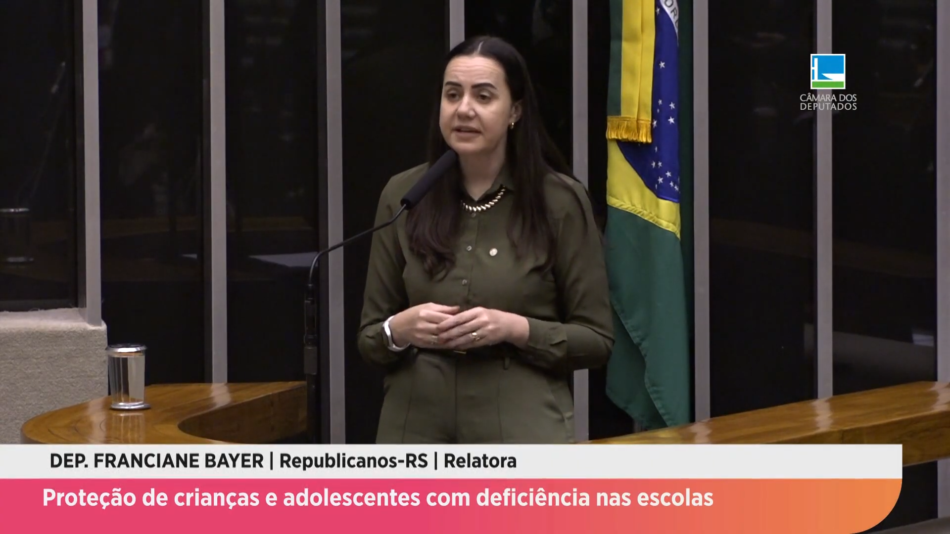 Proteção de crianças e adolescentes com deficiência nas escolas