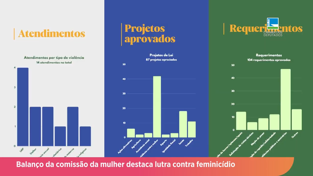 Balanço da comissão da mulher destaca luta contra feminicídio