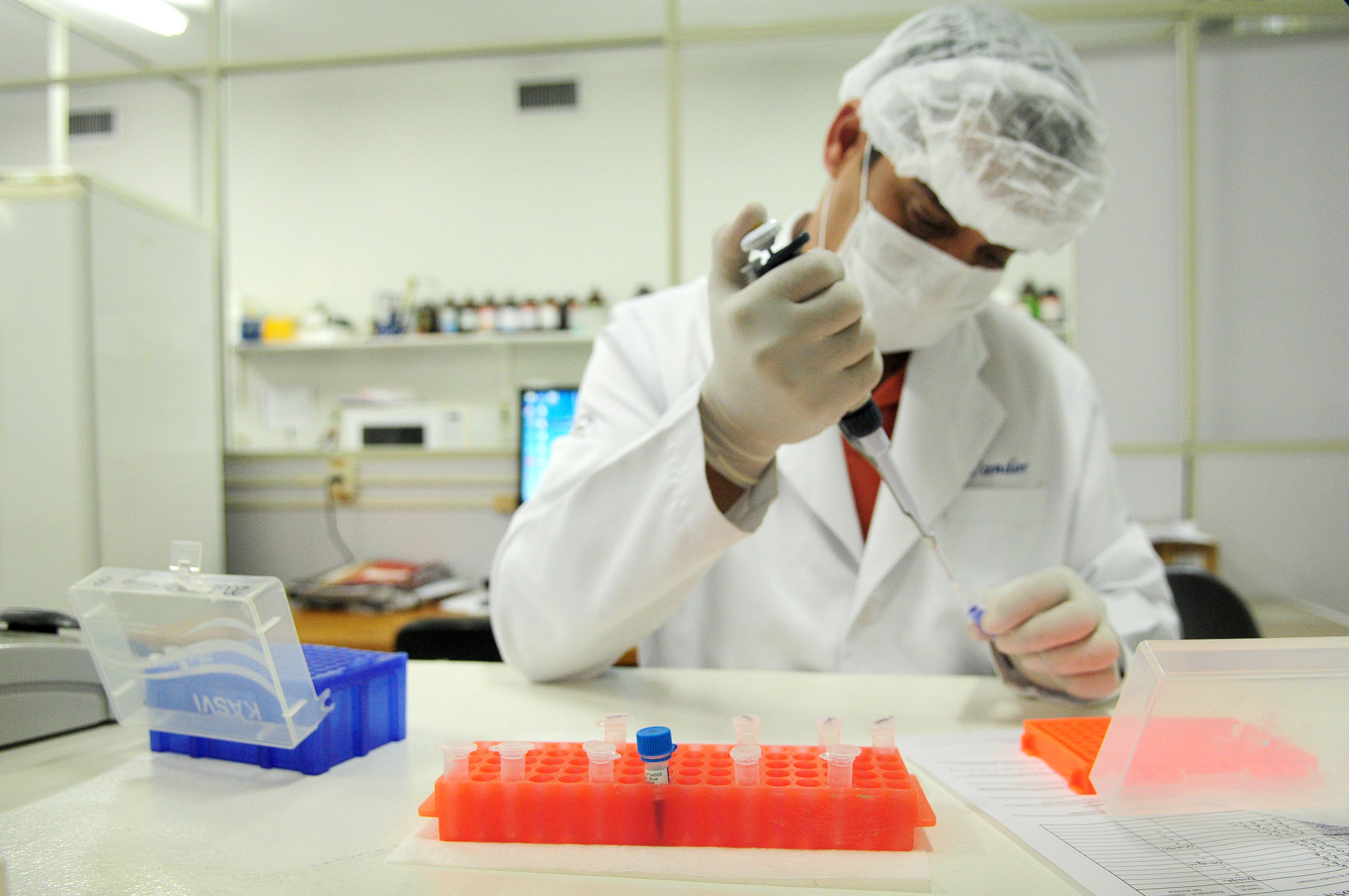 Descrição da imagem da notícia