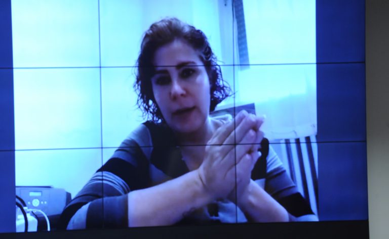 Discussão e votação de propostas legislativas. Dep. Carla Zambelli (PL-SP)