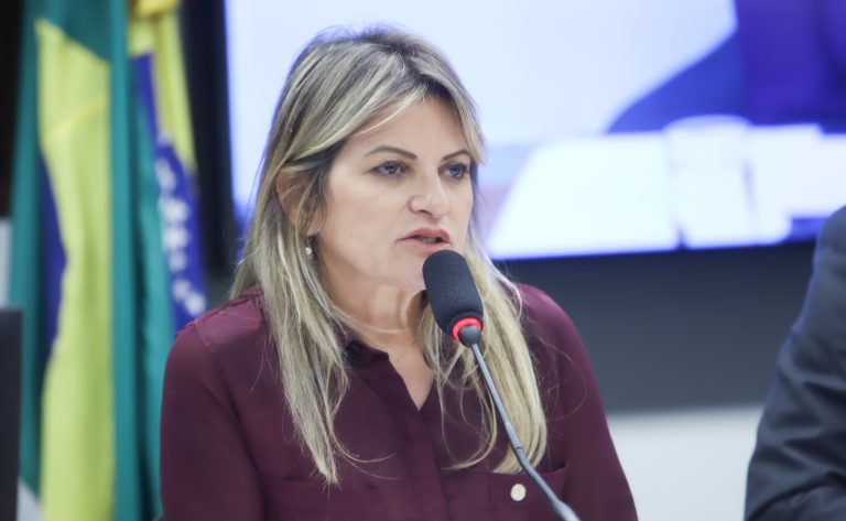 Audiência Pública – Apresentação do Ministério da Saúde sobre retomada de obras paralisadas. Dep. Flávia Morais (PDT-GO)