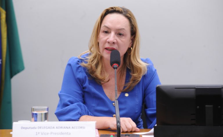 Deputada Delegada Adriana Accorsi (PT-GO) fala em comissão da Câmara dos Deputados
