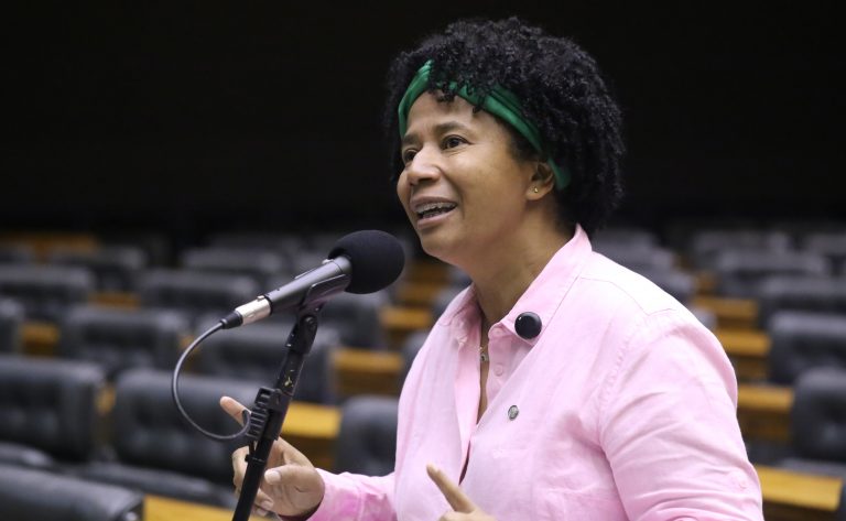 Discussão e votação de propostas legislativas. Dep. Silvia Cristina (PP - RO)