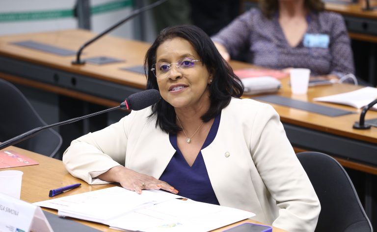 Seminário: Lançamento da pesquisa "Quem são as mulheres que o Brasil não protege? Uma análise interseccional dos feminicídios”. Dep. Gisela Simona (UNIÃO-MT)