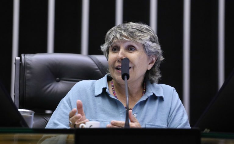 Homenagem ao Dia Mundial de Luta contra a AIDS. Dep. Erika Kokay (PT-DF)