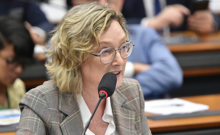 Audiência Pública - Competências federativas na segurança pública, sob a ótica estadual. Dep. Maria do Rosário (PT - RS)