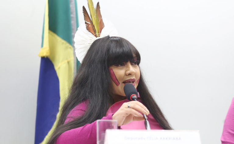 Retrospectiva 2025. Dep. Célia Xakriabá (PSOL - MG)